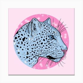 Snow Leopard Square Canvas Print