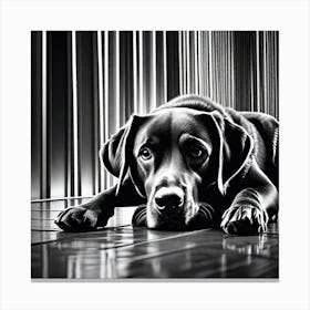 Black And White Dog 2 Canvas Print