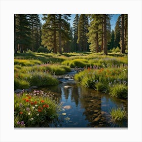 Wildflower Meadow 2 Canvas Print