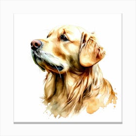 Golden Retriever 2 Canvas Print