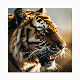 Tiger 5 Canvas Print