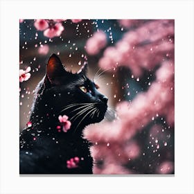 Black Cat, Raindrops and Pink Cherry Blossom 2 Canvas Print