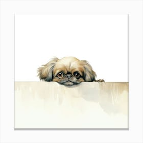 Pekingese Dog 1 Canvas Print