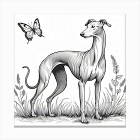 Line Art greyhound dog 5 Canvas Print