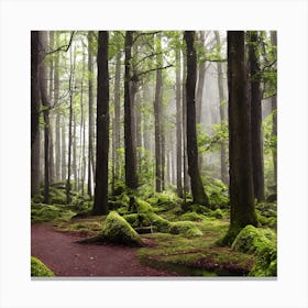 Mossy Forest Canvas Print