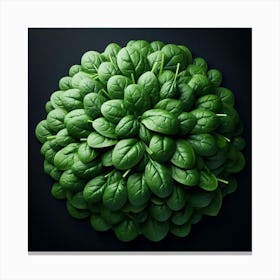 Spinach Leaves On Black Background Canvas Print