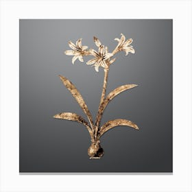 Gold Botanical Amaryllis on Soft Gray n.0330 Canvas Print