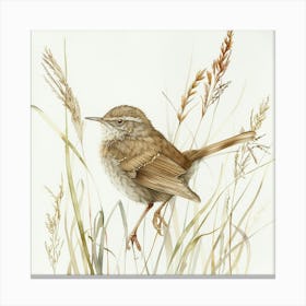 Wren Bird Drawing 2 Canvas Print