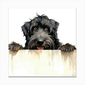 Schnauzer 8 Canvas Print