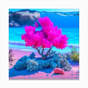 Pink Coral Tree On The Beach Canvas Print