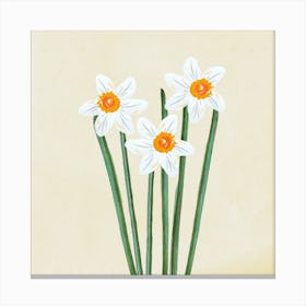 White Daffodils Canvas Print