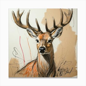 Deer! 65 Canvas Print