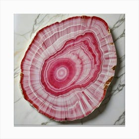 Red Agate Slice Canvas Print