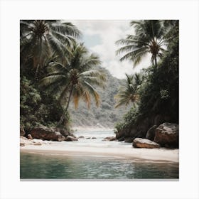 Tropical Beach In Brazil Canvas Print