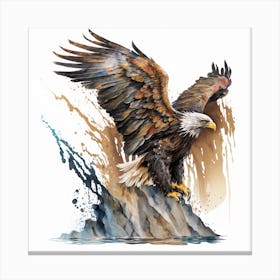 Bald Eagle 1 Canvas Print