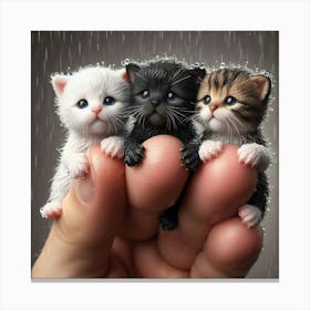 Three Kittens In The Rain 3 Canvas Print