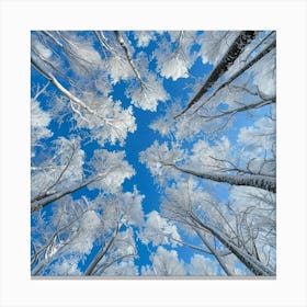 Snowy Trees In Winter 2 Canvas Print