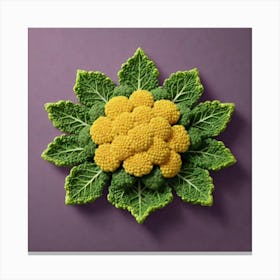 Cauliflower Flower 4 Canvas Print