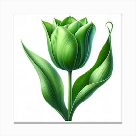 Green Tulip Canvas Print