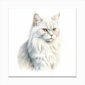 Burmilla Longhair Cat Portrait 2 Canvas Print