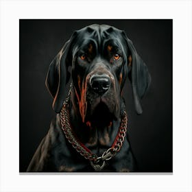 Black dog Canvas Print