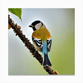 Goldfinch 1 Canvas Print