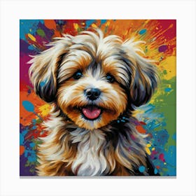 Havanese Pup Canvas Print