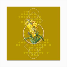 Vintage Cheiranthus Flower Botanical with Geometric Line Motif and Dot Pattern n.0199 Canvas Print