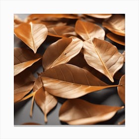 Brown Leaves Canvas Print