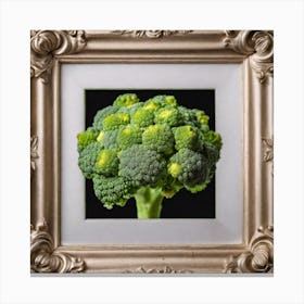 Broccoli In A Frame 9 Canvas Print