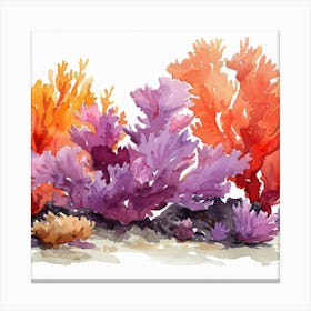 Editorial Art White Background Acropora 2 Canvas Print