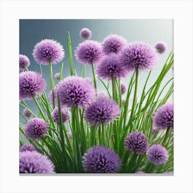 Purple Chrysanthemums Canvas Print