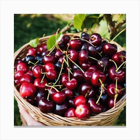 Cherry In A Basket Canvas Print