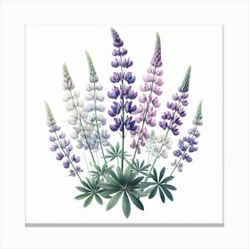 Flower of Lupine Canvas Print