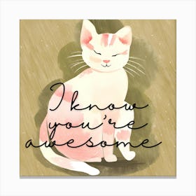 I Know You'Re Awesome Canvas Print