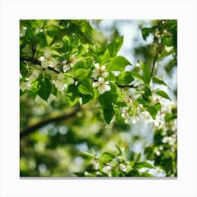 Blossoming Apple Tree Canvas Print