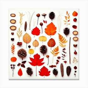 Autumn Leaves,fall leaves Canvas Print