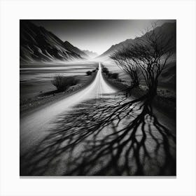 Shadows Of The Road Canvas Print