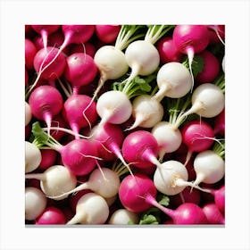 Radishes 6 Canvas Print