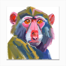 Baboon 01 Canvas Print