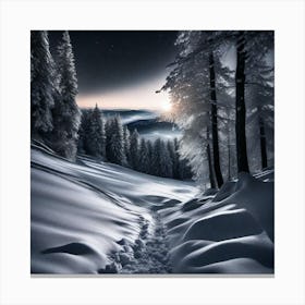 Snowy Path Canvas Print