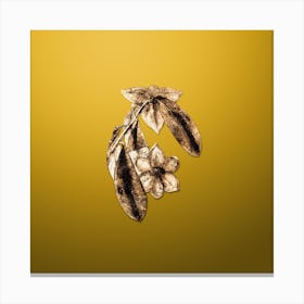 Gold Botanical Laurel Leaved Custard Apple Branch on Mango Yellow n.3607 Canvas Print
