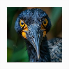 Black Stork 1 Canvas Print