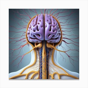 Human Brain And Spinal Cord Canvas Print