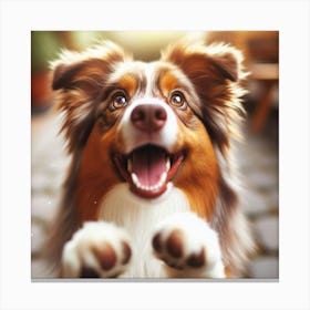 Australian Shepherd Dog 3 Canvas Print