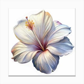 White Hibiscus Flower With Yellow Center And Purple Undertones Canvas Print