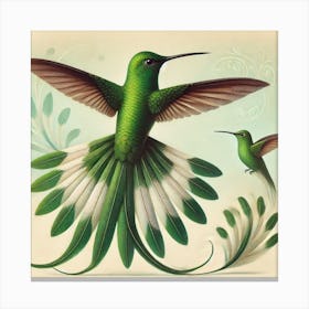 Hummingbirds Canvas Print