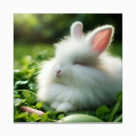 White Bunny Canvas Print