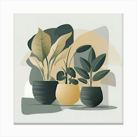 Three Potted Plants Canvas Print