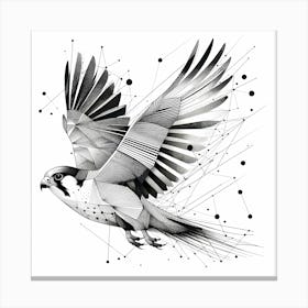 Falcon Fly - Abstract Line Art Illustration 96 Canvas Print